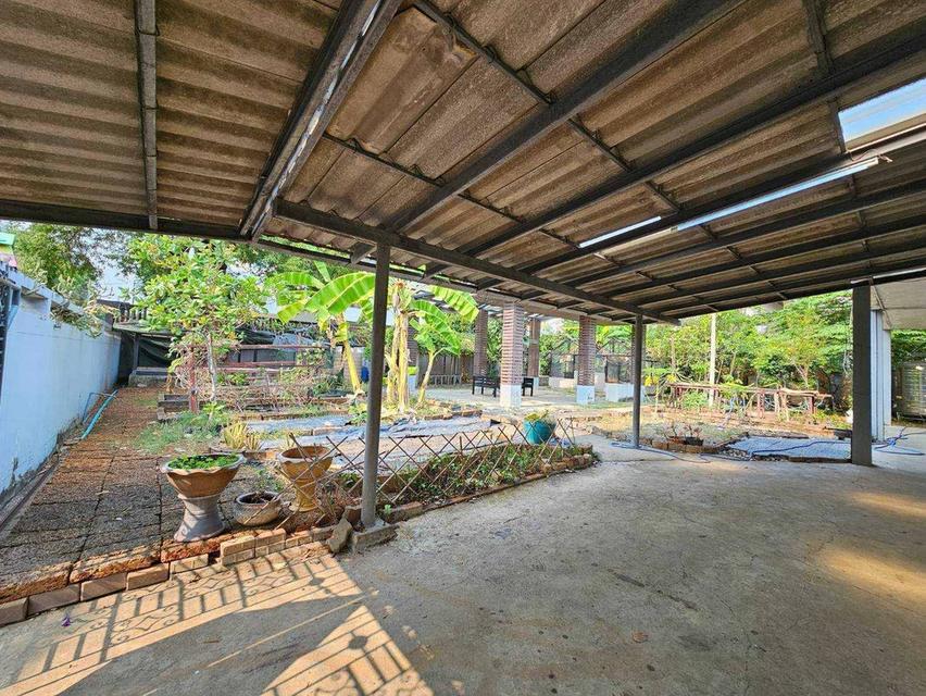บ้านสวน 2 ชั้นกลางเมือง บรรยากาศร่มรื่น เป็นส่วนตัว ใกล้รถไฟฟ้า เหมาะสำหรับอยู่อาศัย ทำคาเฟ่ หรือเปิดร้านอาหาร ใกล้เซ็นทรัลลาดพร้าว 7