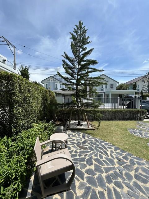 ให้เช่า บ้านเดี่ยว 2 ชั้น โครงการ Villaggio วิลลาจจิโอ 2 ศรีนครินทร์ – บางนา ถนนบัวนครินทร์ 1