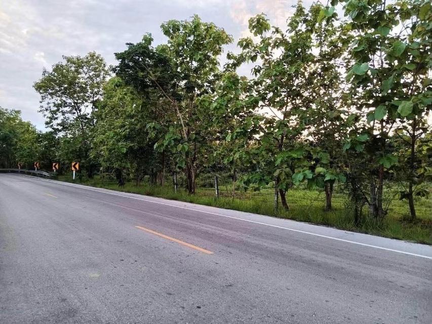 ที่ดินปล่าวติดถนน จ.ลำปาง 6