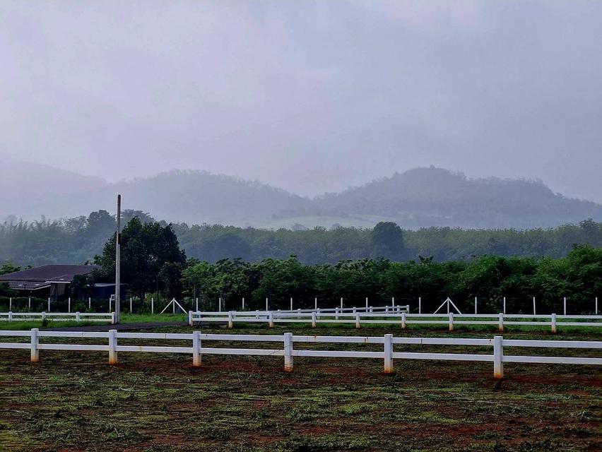 ที่ดินโฉนดครุฑแดงปากช่อง วิวสวย 5