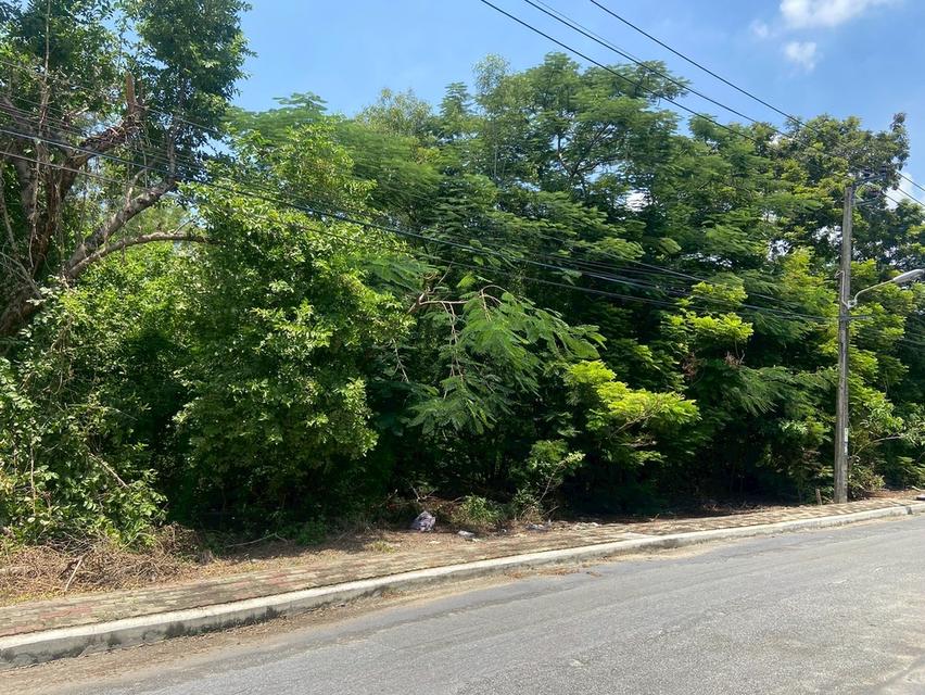 ขายที่ดินในสนามกลอฟ ลาดกระบัง สมุทรปราการ 9