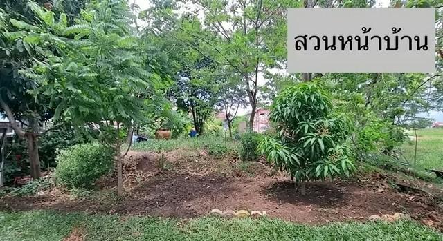 ขายบ้านสวนริมน้ำ จังหวัดพระนครศรีอยุธยา บ้านไม้เรือนไทย บนที่ดินแปลงสวย 315 ตารางวา ติดคลอง ใกล้แม่น้ำเจ้าพระยา 5