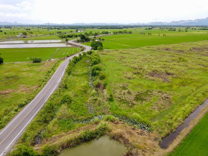 ขายที่ดินติดถนนลาดยาง แหล่งชุมชน  📍ต.หรเทพ อ.บ้านหมอ จ.สระบุรี 9