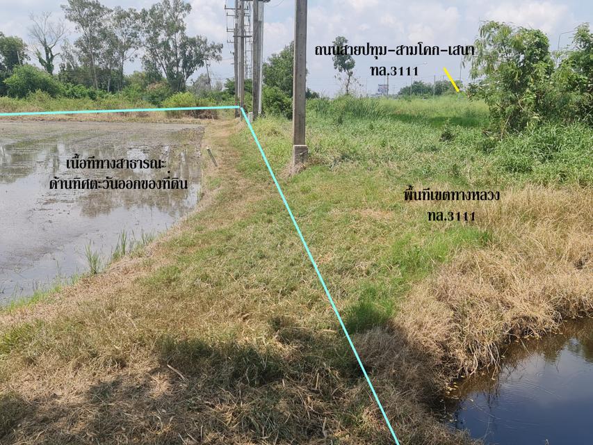 ขาย ที่ดิน ติดถนนสามโคก-เสนา ทล.3111 อ.สามโคก ปทุมธานี ทำเลดีพื้นที่ลงทุน เนื้อที่ 37 ไร่ 12.2 ตรว ลดลงราคา 29 ล้าน เจ้า 5