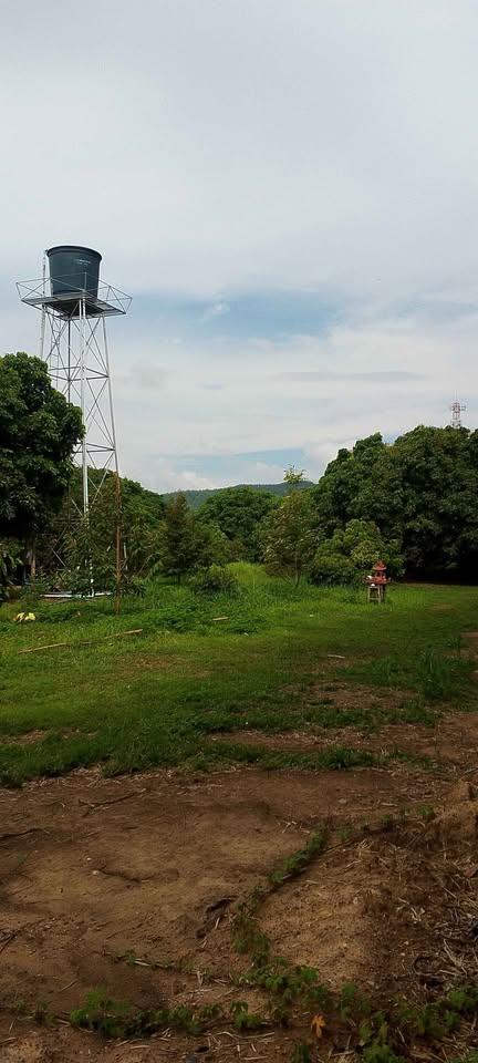 ที่ดินสวนลำไย ต.หนองควาย อ.หางดง 7