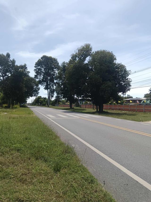 ที่ดินตรงข้ามอบตดงเเมือง ขนาด1ไร่ 2งาน 5