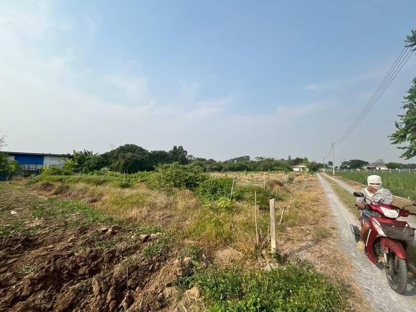 ขายที่ดินเปล่า ติดถนนสาธารณะ ใกล้คลองชลประทาน  3
