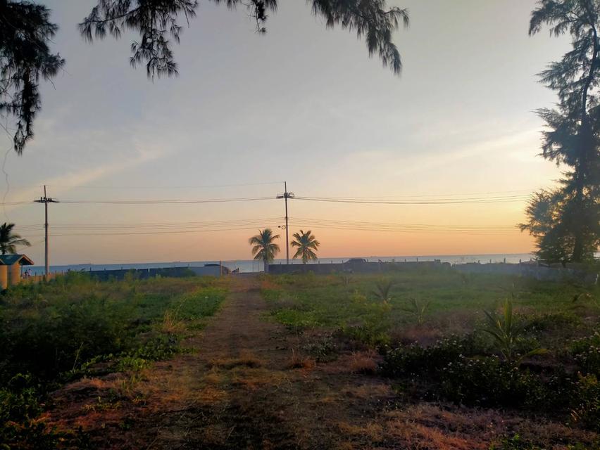 ขายที่ดินทำเลทองเมืองระยอง ติดชายหาดทะเลPMY 3ไร่ ติดหน้าชายหาด วิวทะเลสวยมาก 3