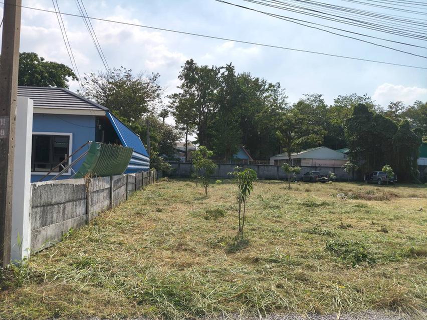 ขายที่ดิน 371 ตร.ว. ติดโรงเรียนสวนกุกลาบนนทบุรี 11