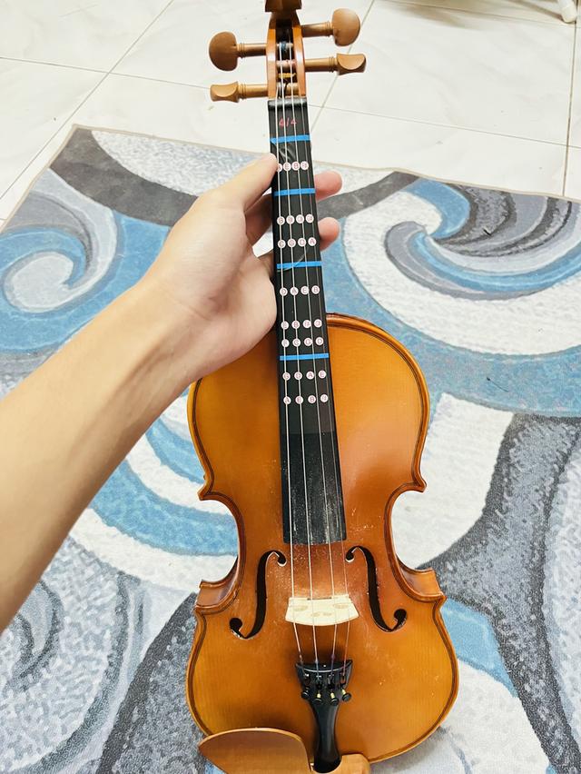 ไวโอลินสภาพดี ราคาประหยัด พร้อมเล่น มือใหม่ใช้ได้ทันที