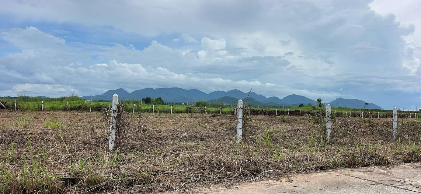 ที่ดิน ชะอำ เพชรบุรี ผ่อนเดือนละ 6,500x60 ฟรีดาวน์ 11