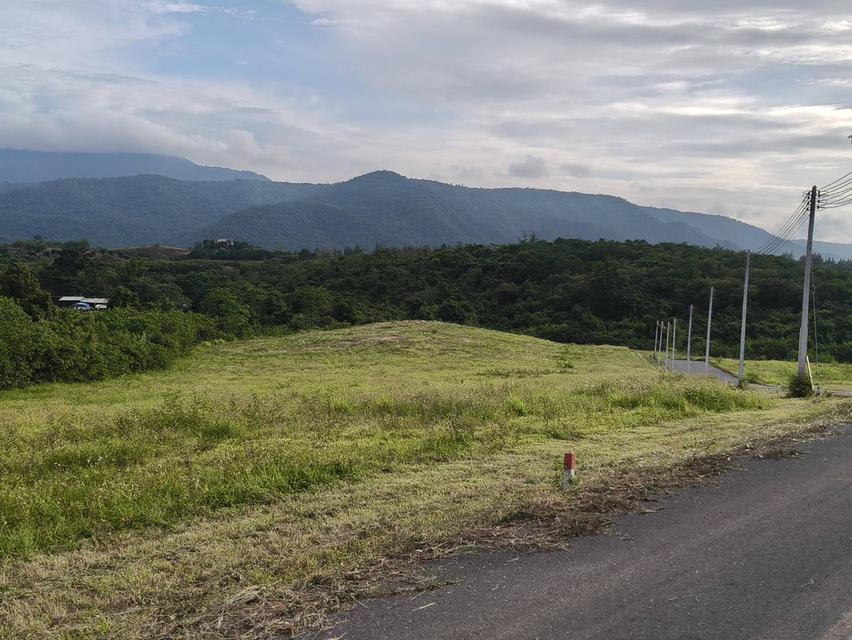 ขายที่บนเนินเขาใหญ่ โป่งตาลอง ปากช่อง ที่สูงบนเนิน 3.5 ไร่ วิวเขาใหญ่สวย ชัดมาก อากาศบริสุทธิ์ดีมาก ลมดีเย็นสบาย เดินทางสะดวก ใกล้เส้น 3052 ทอสคาน่า T 2