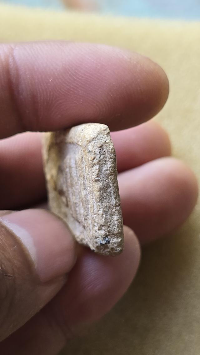 พระสมเด็จวัดระฆัง พิมพ์ใหญ่ 6