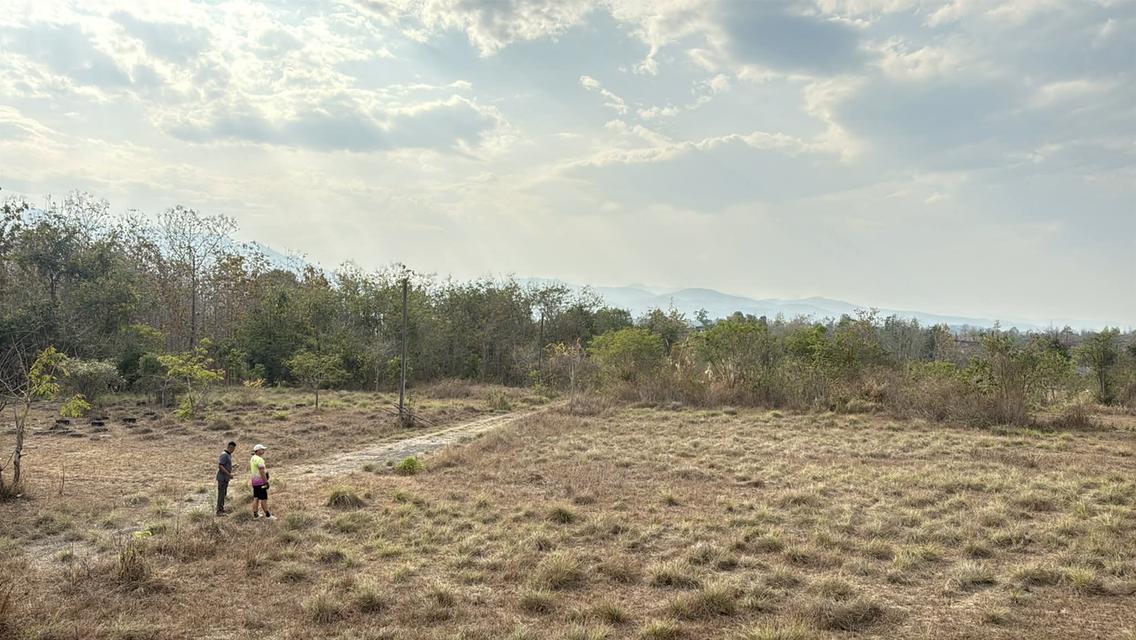 ขายที่ดิน อำเภอแม่ริม จังหวัดเชียงใหม่ 5