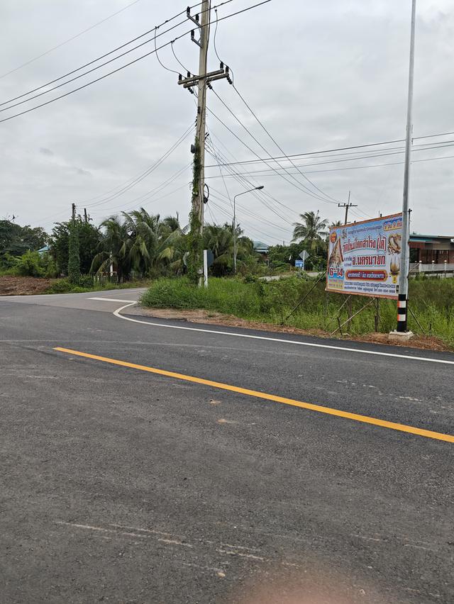 ขายที่ดิน2ไร่ ติดถนน นครนายก 3