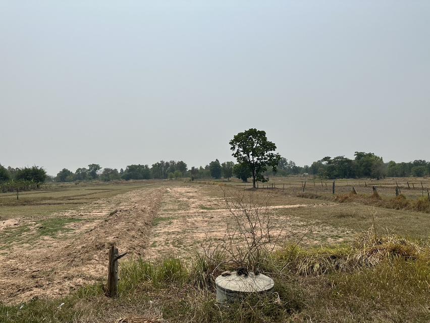 ขายที่ดิน บ้านนาดอกไม้ อ.บ้านฝาง จ.ขอนแก่น 2