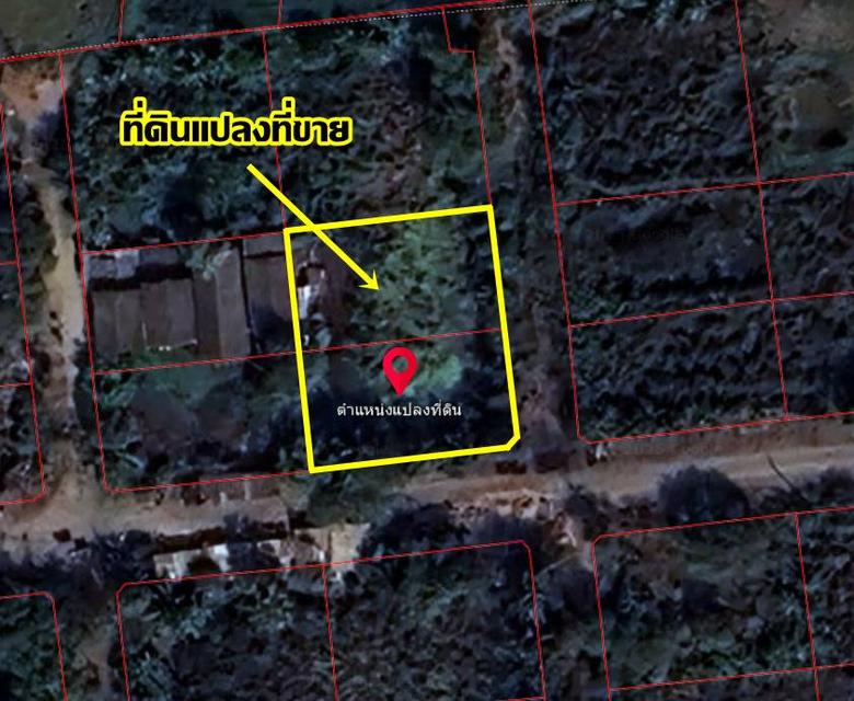 ขายที่ดินเปล่า หมู่บ้านสวัสดิการแลนด์ ซอยคู้คลองสิบ 14 5