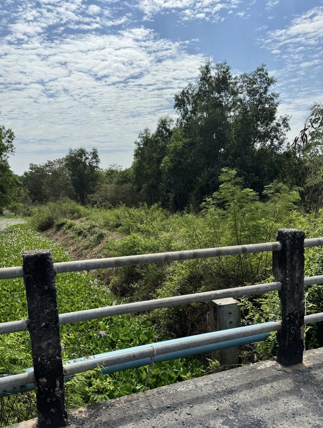 ที่ดินเปล่า