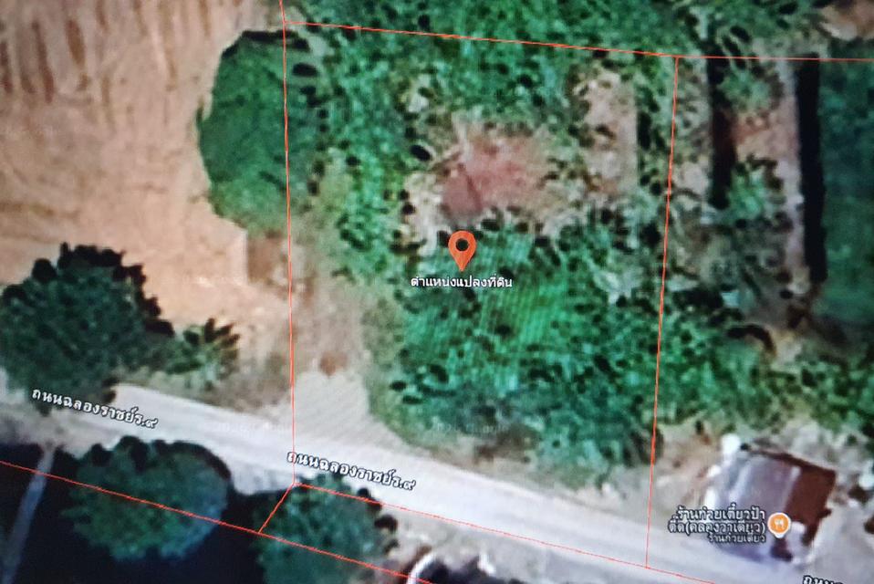 ขาทที่ดิน บางใหญ่ นนทบุรี 2งาน 77.5 ตารางวา 1