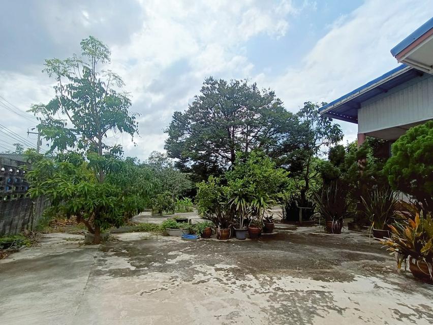 บ้านเดี่ยวพร้อมที่ดิน1ไร่ 2