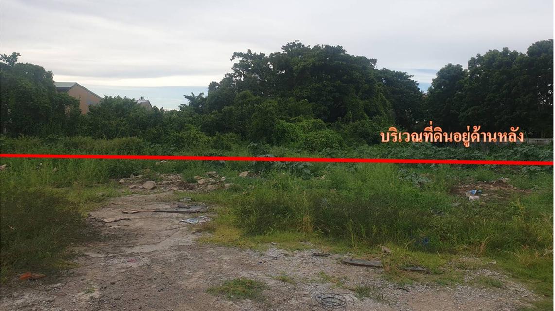 ทีดิน 6