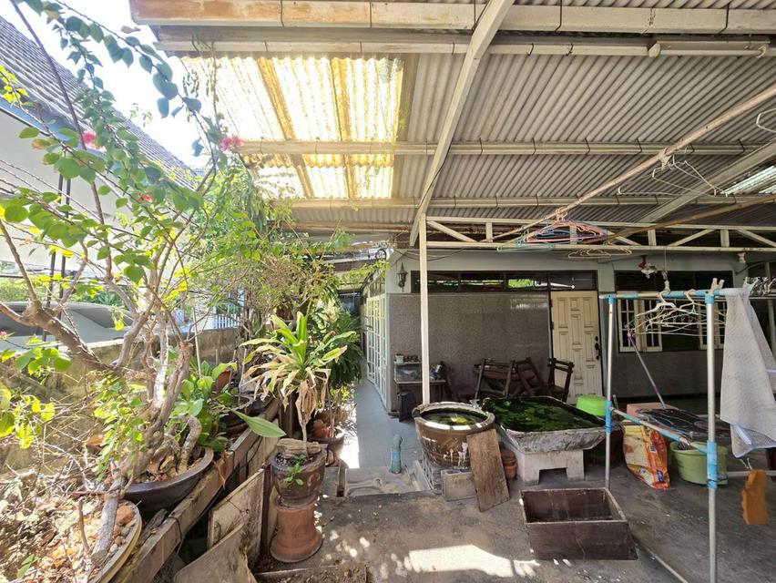 ขายที่ดินแปลงสวย พร้อมบ้าน 2 ชั้น สุขุมวิท 65 ซ.ชัยพฤกษ์แยก10 ใกล้ BTS เอกมัย (N.2023) 9