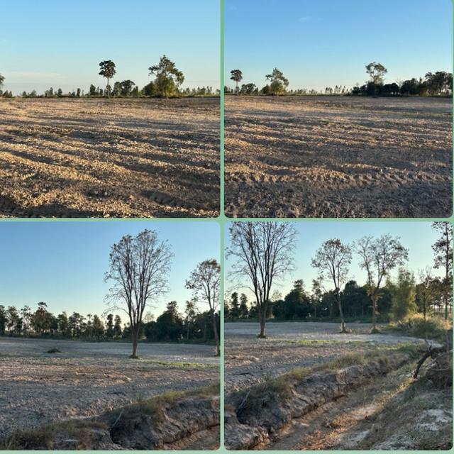 ขายที่ดิน 92 ไร่ ใกล้อำเภอทรายมูล จ.ยโสธร (โฉนดครุฑแดงทำเล	 อยู่ใกล้แหล่งชุมชน ห่างจากอำเภอทรายมูล 5 กม. การเข้าถึง	ถนนลูกรังถึงหน้าที่ดิน เข้าออกสะดว 2