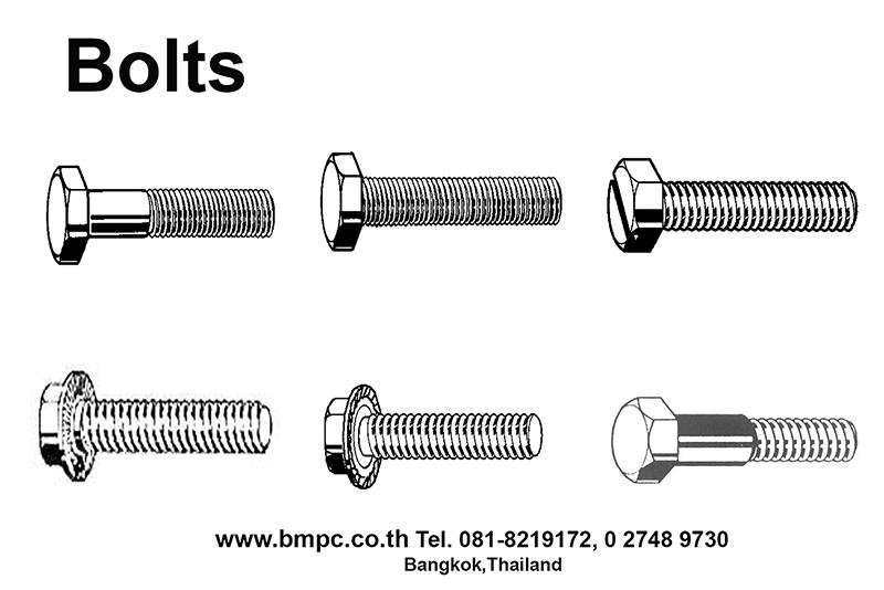 Hexagon head bolt, Bolt with flange, Shoulder screw, Set screw, screw plug, thin nut, lock nut, Castle nut, Locking disc spring, tab washer, e-ring, s 8