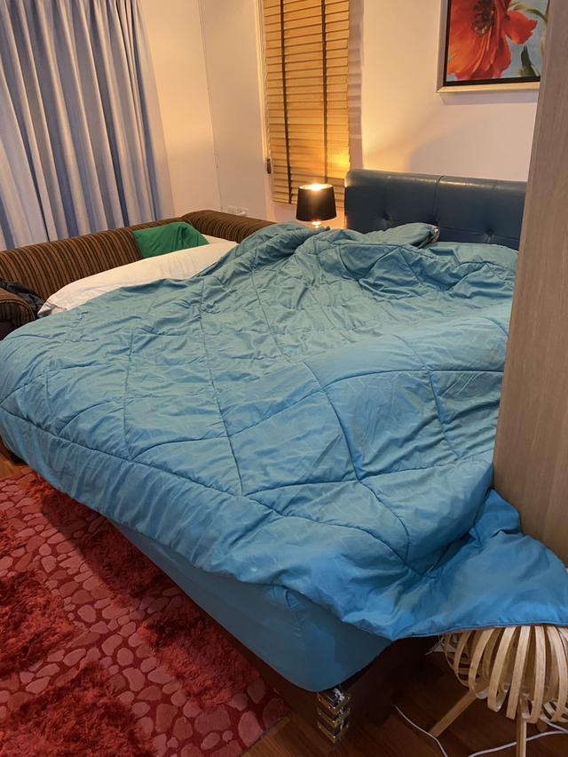 ขายบ้านเดี่ยว หมู่บ้านทิพพิมานกรีนวิว 10