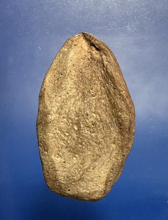 พระนางท่ามะปรางค์กรุวัดมหาธาตุ สุพรรณบุรี มีนวลดินเดิม 8