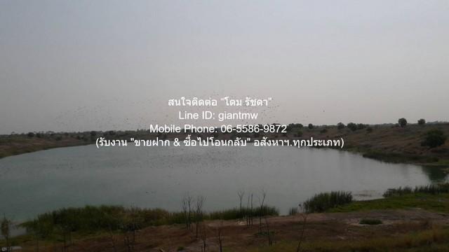 พื้นที่ดิน ขายที่ดิน+สิ่งปลูกสร้าง ธัญบุรี รังสิตคลอง 14 76-1-15.4 ไร่ ราคา 59 ล้านบาท (765,000 บาท/ไร่) 59000000 บาท. ค 8