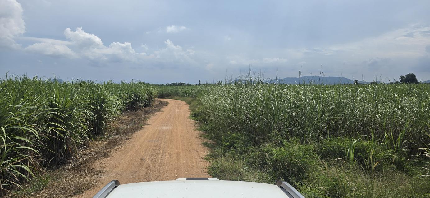 ขายที่ดิน23 ไร่2 งาน25 ตรว ครึ่ง 10