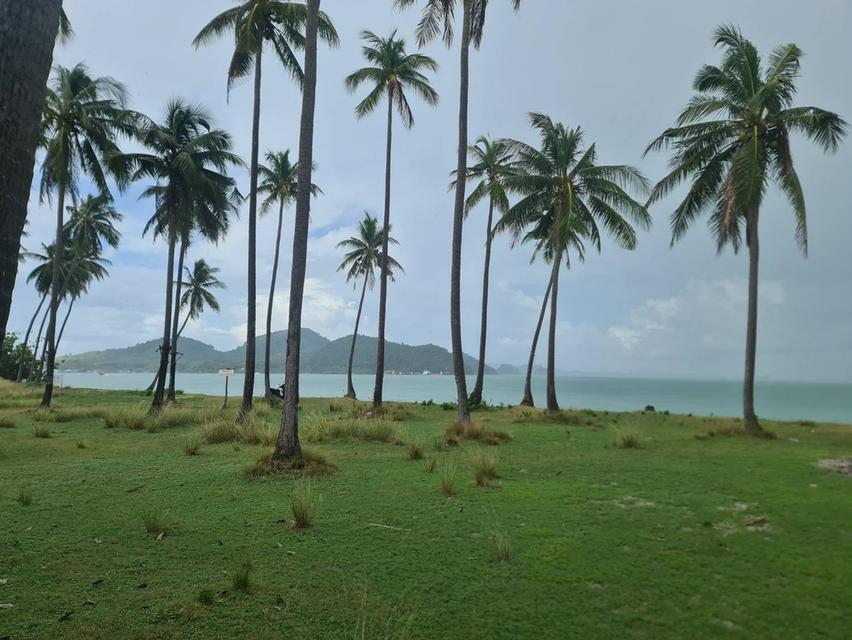 🏝️ ขายที่ดินติดทะเล ทำเลหายาก บนเกาะยาวใหญ่ จ.พังงา 4