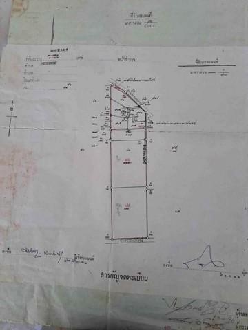 ขายที่ดิน 4 ไร่ หนองบอนแดงบ้านบึง ผังสีเหลือง บนเนื้อที่ 4 ไร่ 15 ตรว แบ่งขายได้ 4