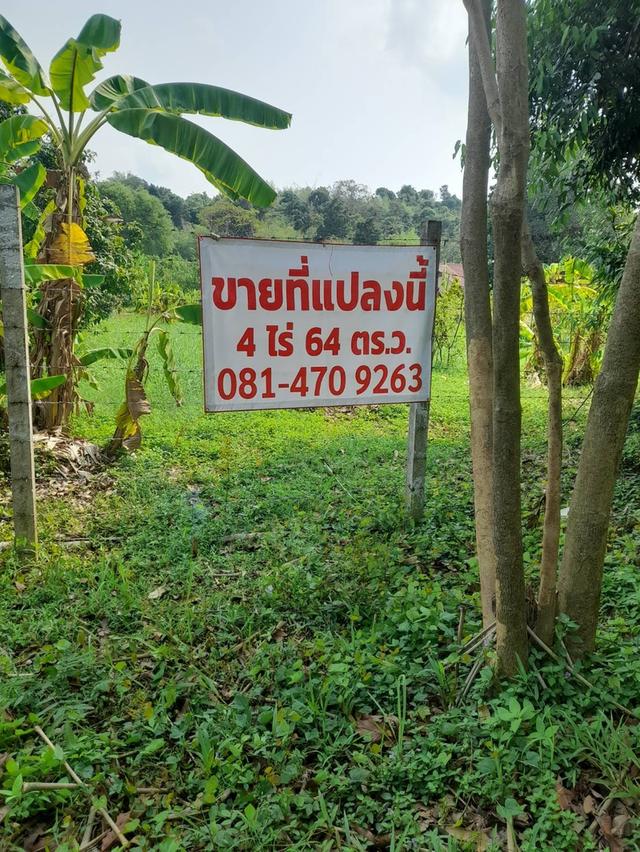 ที่ดินทำเลดีที่สุด 4ไร่ ใกล้เขาชะโงก นครนายก 2