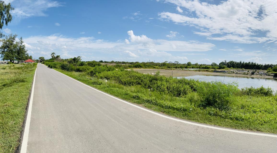 ขายที่ดิน 13 ไร่  ติดทะเล ใกล้วัดหัวระวะ ระโนด 1