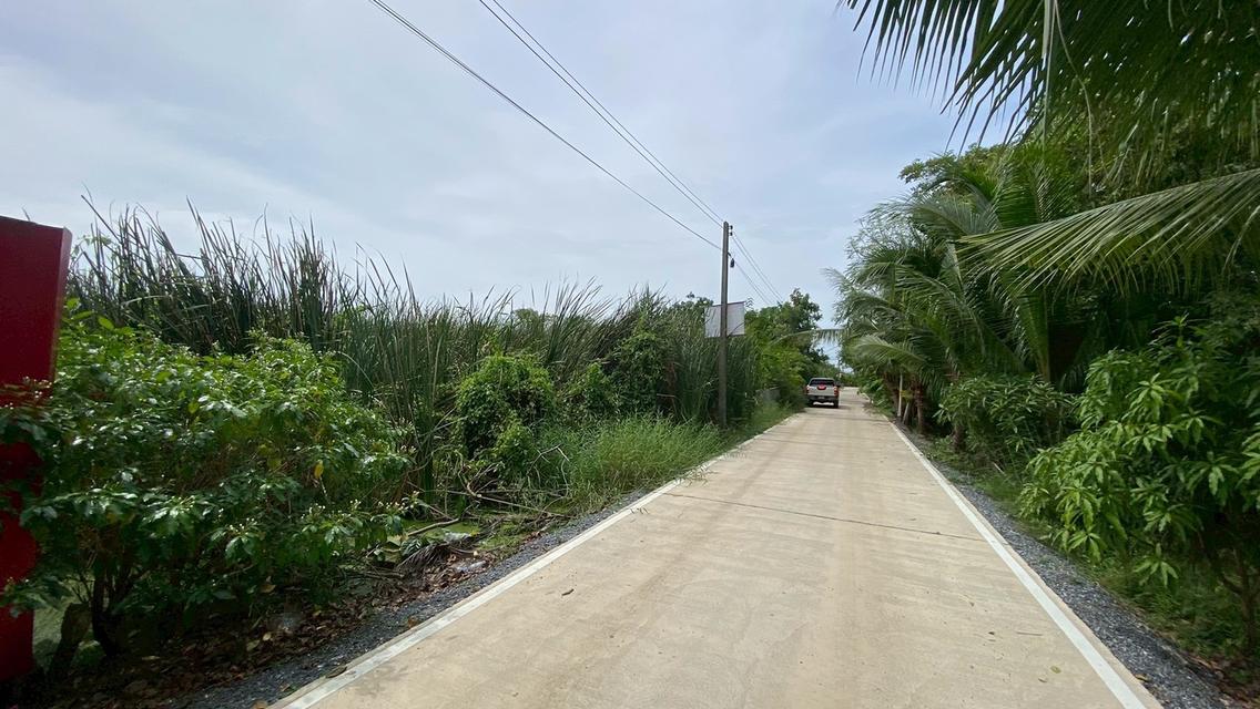 Vายถูกที่ดินคลองสี่ 200 ตารางวา ติดถนนคอนกรีต ซอย คลองสี่ตะวันออก 66 อ.คลองหลวง จ.ปทุมธานี 9