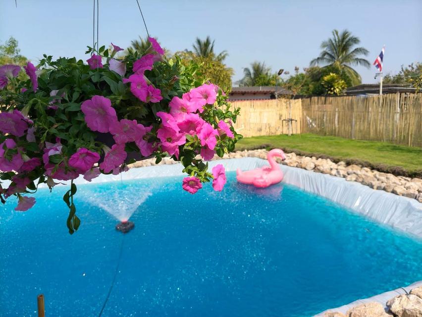 บ้านสวน สไตล์มินิมอล จ.ราชบุรี 7