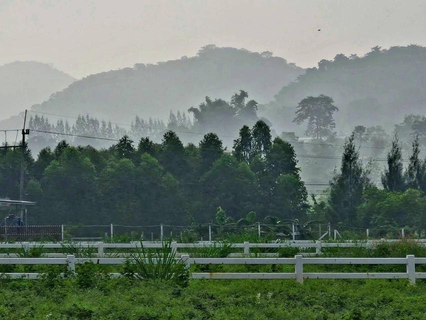ที่ดินโฉนดครุฑแดงปากช่อง วิวสวย 9