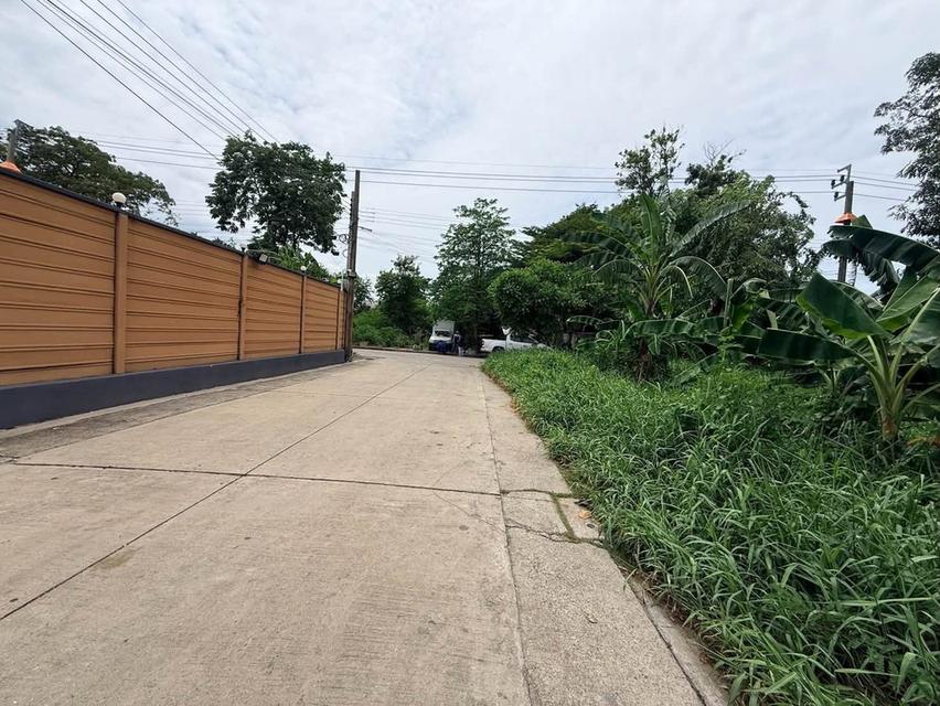 ขายด่วนที่ดินใกล้รพ.สินแพทย์ เทพารักษ์ 199 ตรว ติดถนนคอนกรีต 2 ด้าน แปลงมุม ซ.สินทวี เมืองสมุทรปราการ สนใจติดต่อ 095-879-4465 12