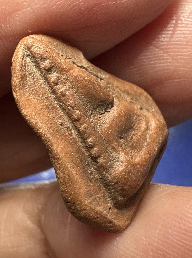 พระนางพิจิตร ข้างเม็ด รูปที่ 3