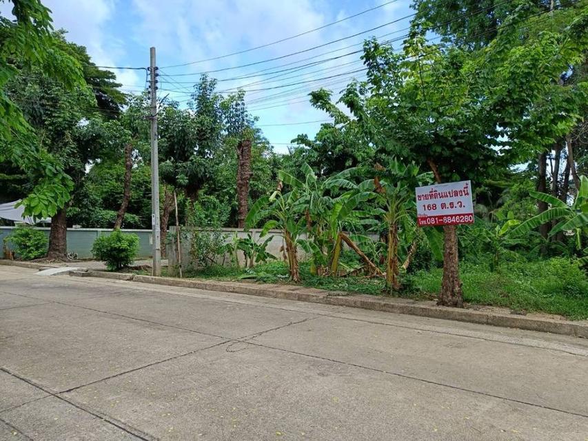 ขายที่ดินเปล่า 168 ตารางวา ในหมู่บ้านกาญจนาลักษณ์ 3  บางกรวย นนทบุรี 1