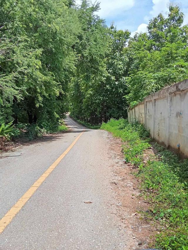 ที่ดินพร้อมสวนสัก อ.น้ำปาด จ.อุตรดิดถ์ 4