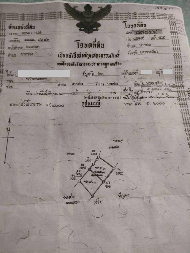 ขายที่ดินพร้อมโฉนด 1-1-32 ตร.ว. อ.ปากช่อง จ.นครราชสีมา ทำเลดี บรรยากาศร่มรื่น ด้านหลังติดภูเขา 9