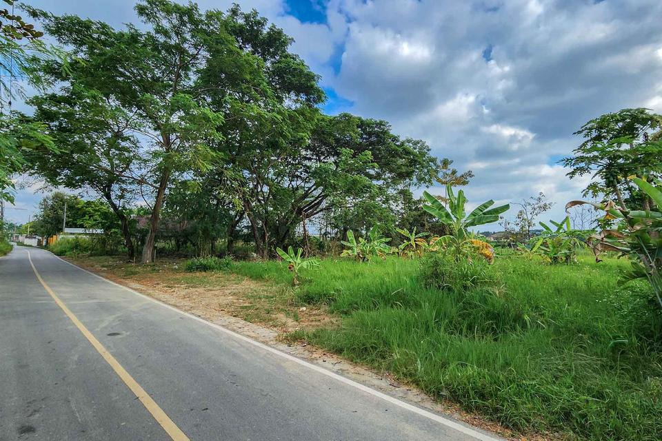 ที่ดินถมแล้ว พร้อมสร้าง วิวทุ่งนา บรรยากาศสงบ โซนหางดง ใกล้สนามบิน เดินทางสะดวก 7