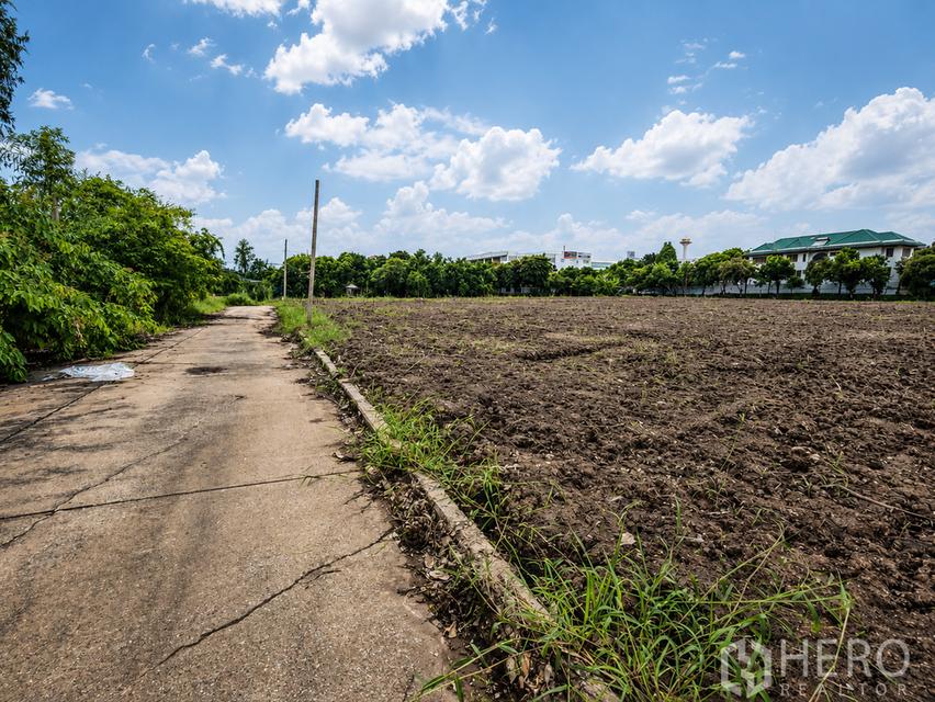 ขายที่ดิน คลองหลวง (คลองสาม) ปทุมธานี ใกล้ถนนใหญ่ ทางเข้าถนนคอนกรีต HRE00414 5
