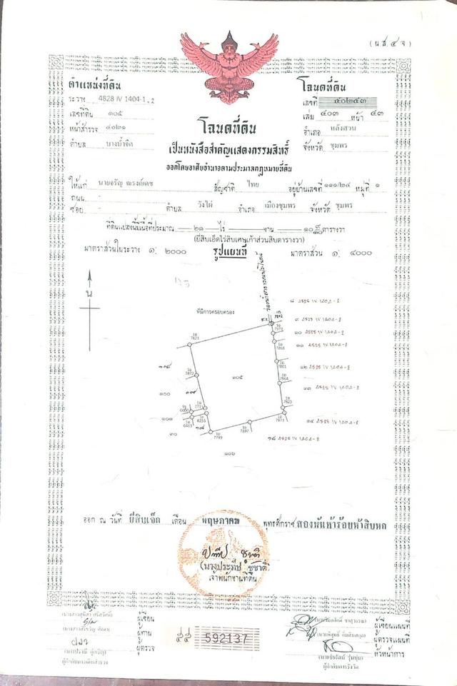 ที่ดิน สวนปาล์มน้ำมัน ต.บางน้ำจืด อ.หลังสวน จ.ชุมพร โฉนด พร้อมโอน 4