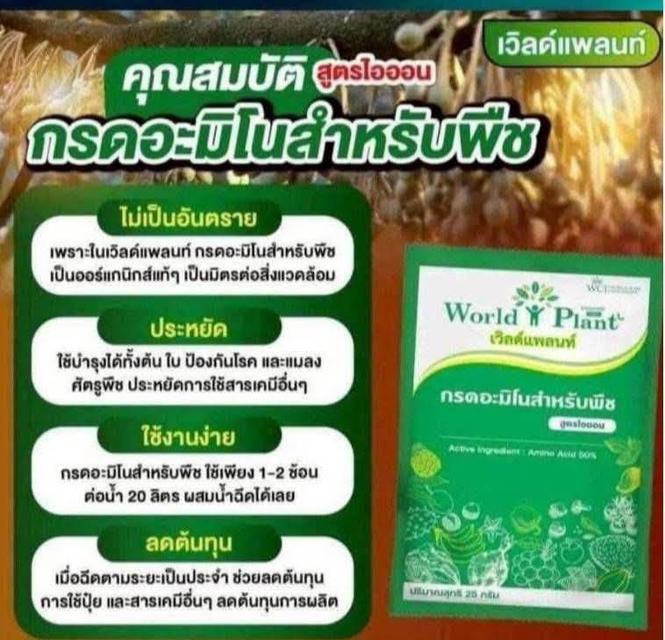 ปุ๋ยอินทรีย์ เวิลด์แพลนท์ รูปที่ 4