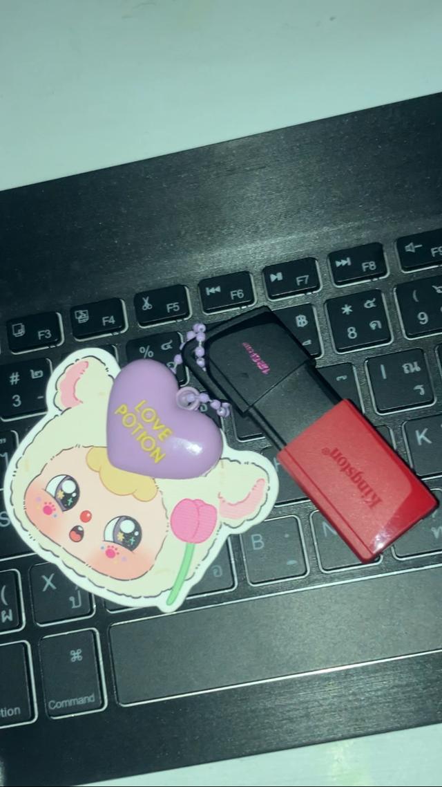 เเฟรชไดรฟ์ เกมThe sims4