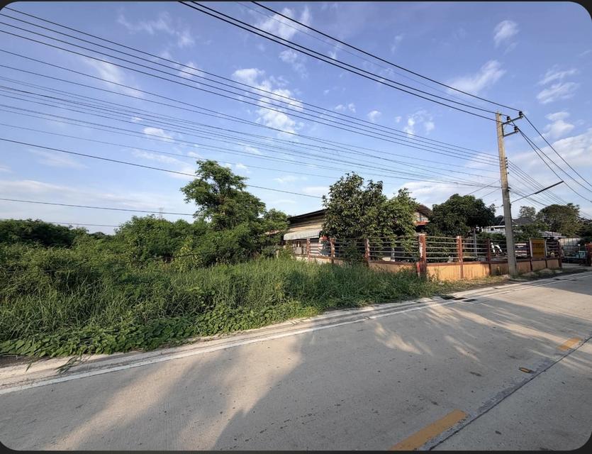 ขายที่ดิน ถมแล้ว 1ไร่ 200ตรว ลาดหลุมแก้ว ในถนนกำนันวิรัตน์ 6